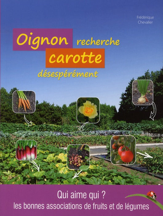 Oignon recherche carotte désespérément ; qui aime qui ? les bonnes associations de fruits et de légumes