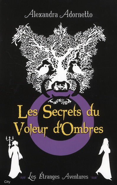 Les secrets du voleur d'ombres