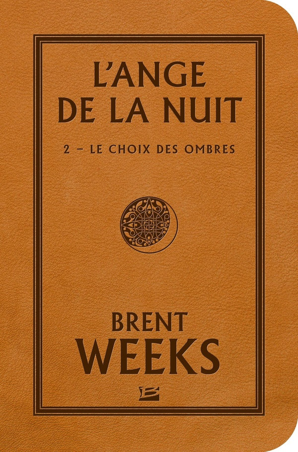L'ange de la nuit Tome 2 : le choix des ombres
