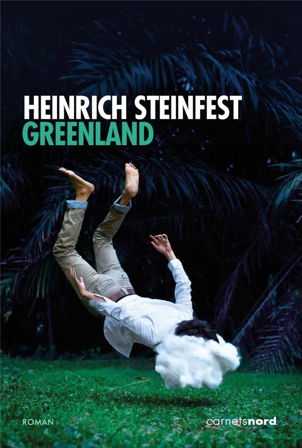 Greenland - flash vidéo
