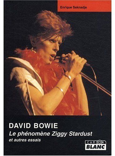 David Bowie; le phénomène Ziggy Stardust et autres essais
