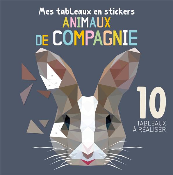 Mes tableaux en stickers : animaux de compagnie - flash vidéo
