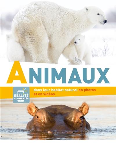 Animaux - flash vidéo
