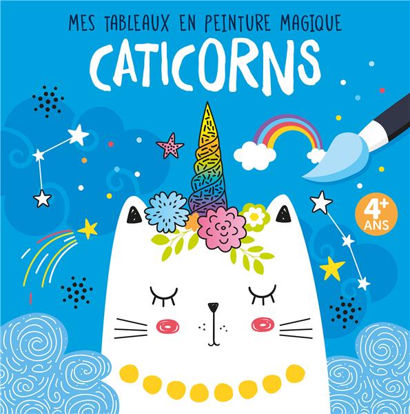 Mes tableaux en peinture magique : caticorns - flash vidéo