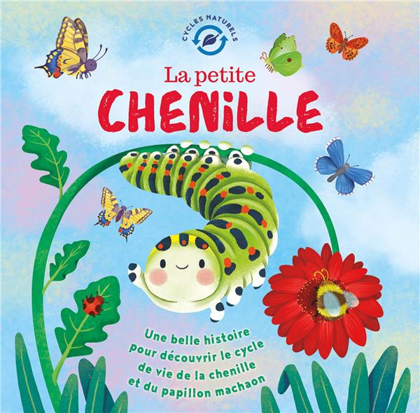 La petite chenille - flash vidéo