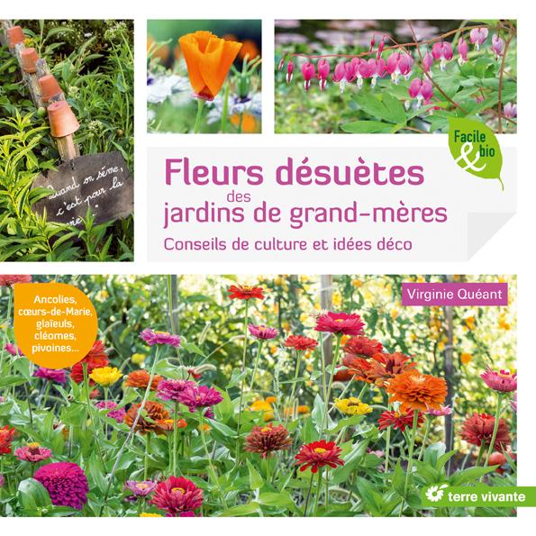Fleurs désuètes des jardins de grand-mères ; conseils de culture et idées déco