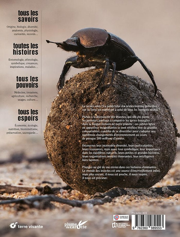 Insectes : Tous les savoirs, toutes les histoires, tous les pouvoirs, tous les espoirs...