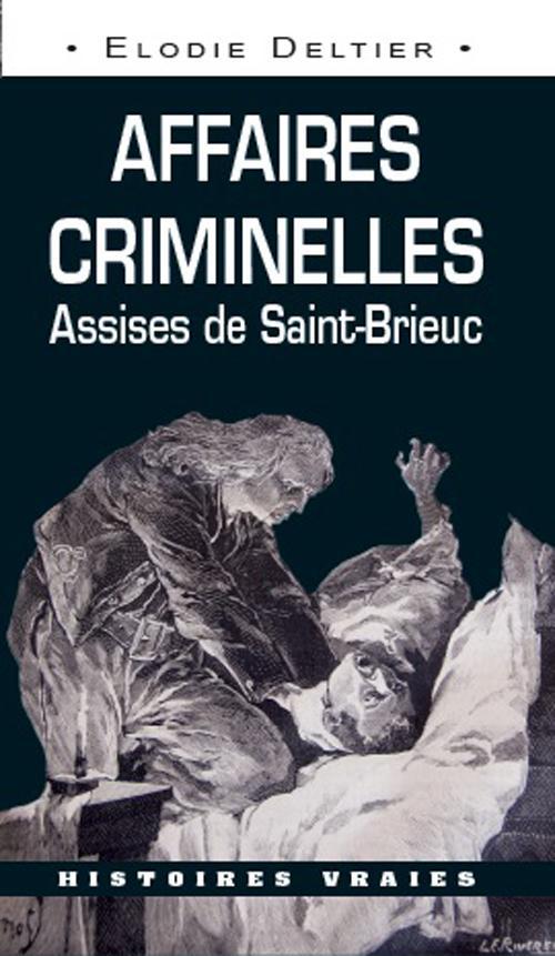 Affaires criminelles ; assises de Saint-Brieuc - flash vidéo