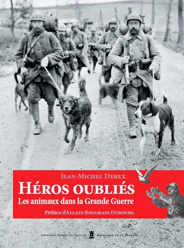 Héros oubliés ; 14-18: les animaux dans la grande guerre - flash vidéo