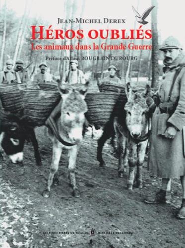 Heros oublies - les animaux dans la grande guerre - flash vidéo