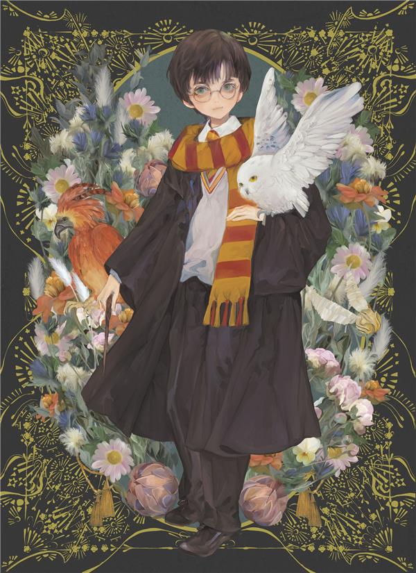 Harry Potter : l'agenda magique : 12 mois agenda non daté - flash vidéo