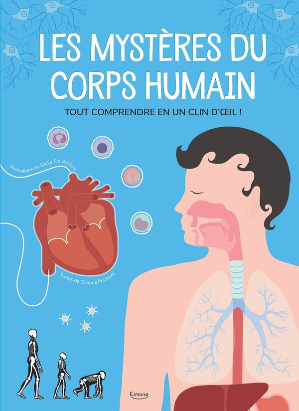 Les mystères du corps humain ; tout comprendre en un clin d'oeil ! - flash vidéo