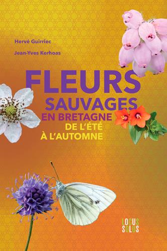 Fleurs sauvages en Bretagne, de l'été à l'automne - flash vidéo