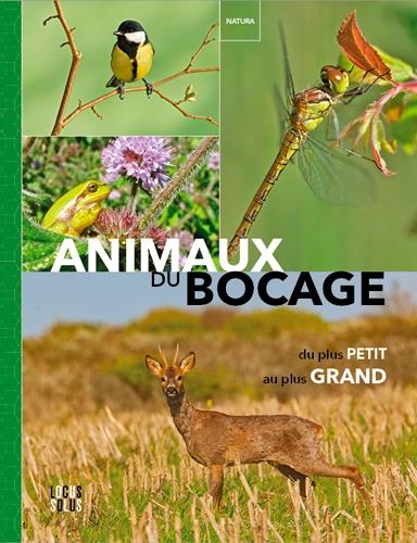 Animaux du bocage ; du plus petit au plus grand