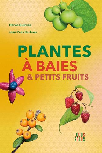 Plantes à baies & petits fruits - flash vidéo