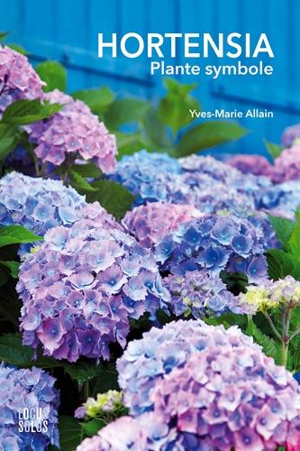 Hortensia, plante symbole - flash vidéo