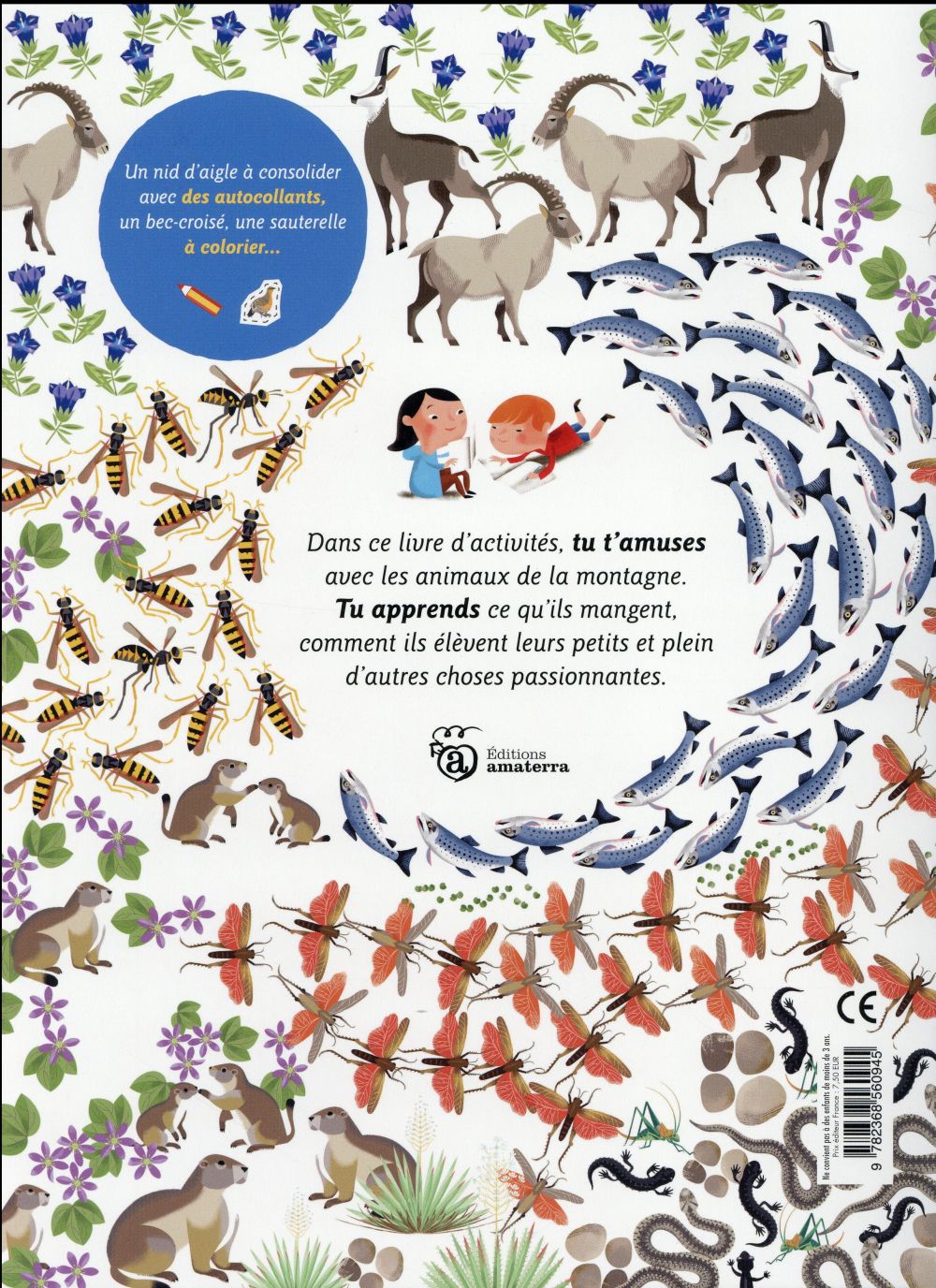 Les animaux de la montagne