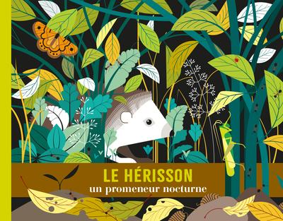 Le hérisson un promeneur nocturne