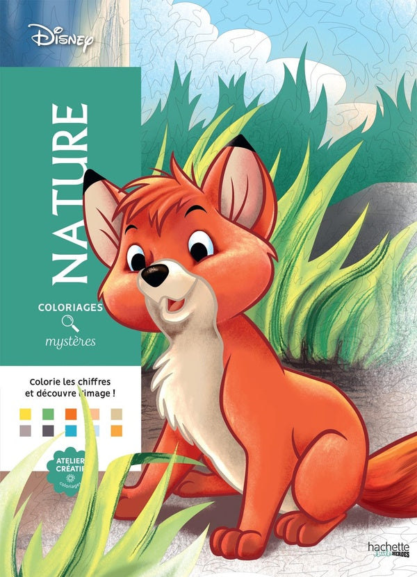 Art-thérapie ; Coloriages mystères : nature
