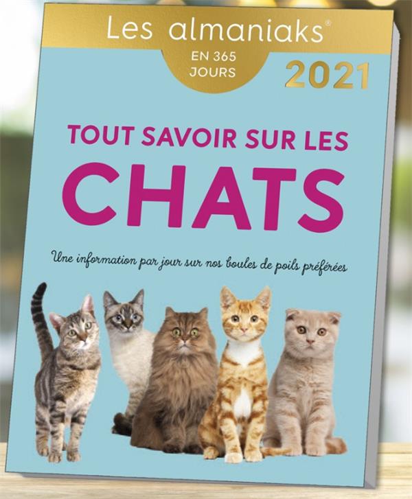 Tout savoir sur les chats (édition 2021) - flash vidéo