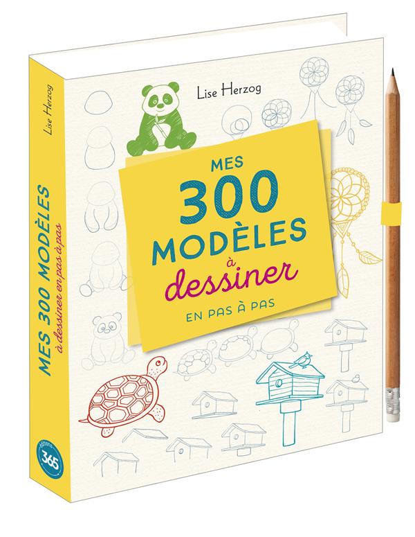 Mes 300 modèles à dessiner en pas a pas - flash vidéo