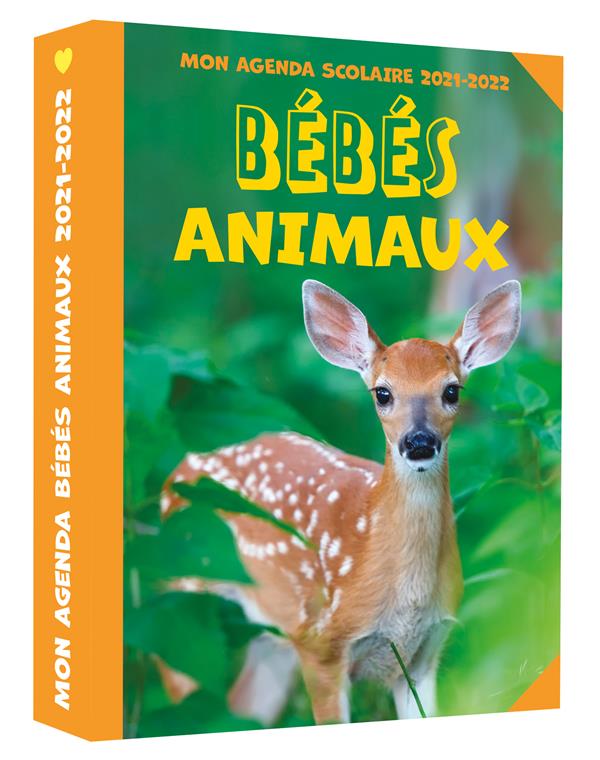 Mon agenda scolaire bébé animaux (édition 2021/2022) - flash vidéo