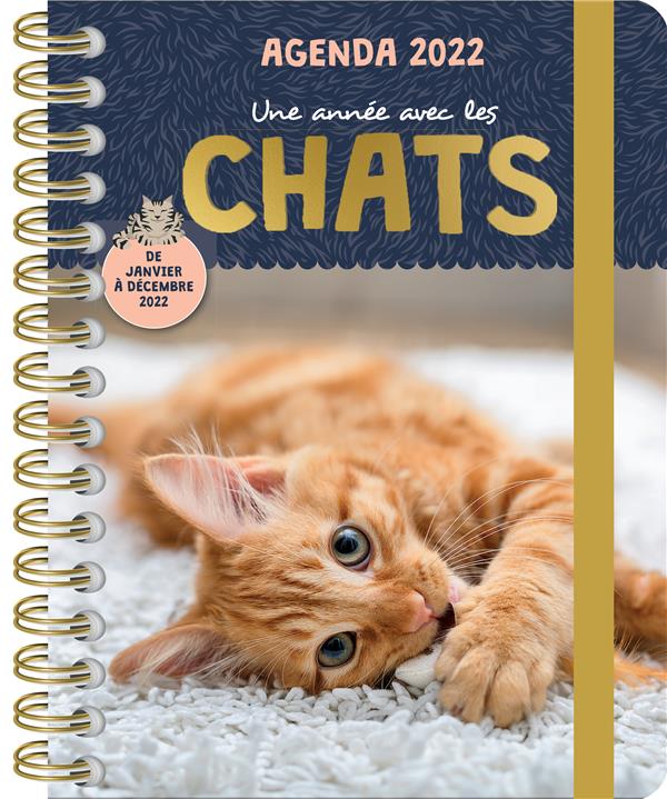 Agenda une année avec les chats (édition 2022) - flash vidéo