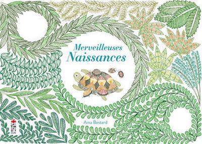 Merveilleuses naissances - flash vidéo