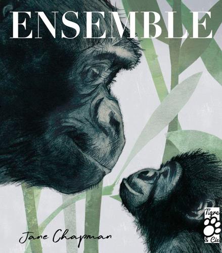 Ensemble - flash vidéo