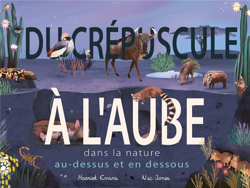 Du crépuscule à l'aube : dans la nature au-dessus et en-dessous... - flash vidéo