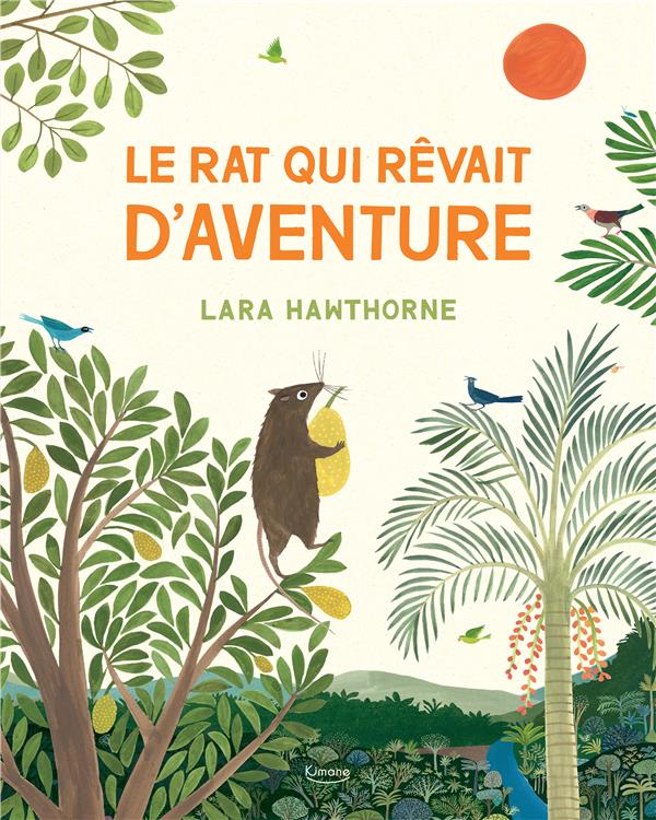 Le rat qui rêvait d'aventure - flash vidéo