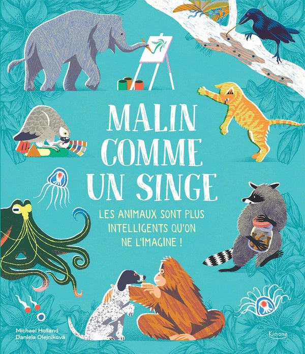 Malin comme un singe - flash vidéo