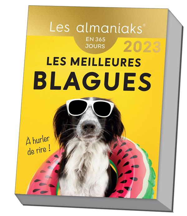 Les meilleures blagues (365e édition) - flash vidéo