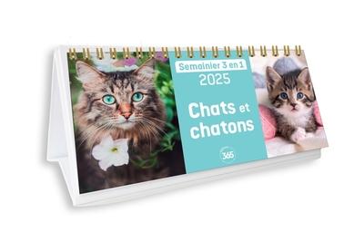 Semainier 3 en 1 : Chats et chatons