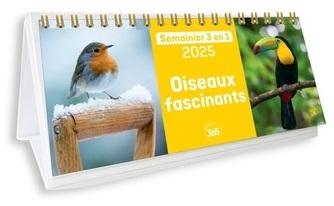 Semainier 3 en 1 : Oiseaux fascinants (édition 2025) - flash vidéo