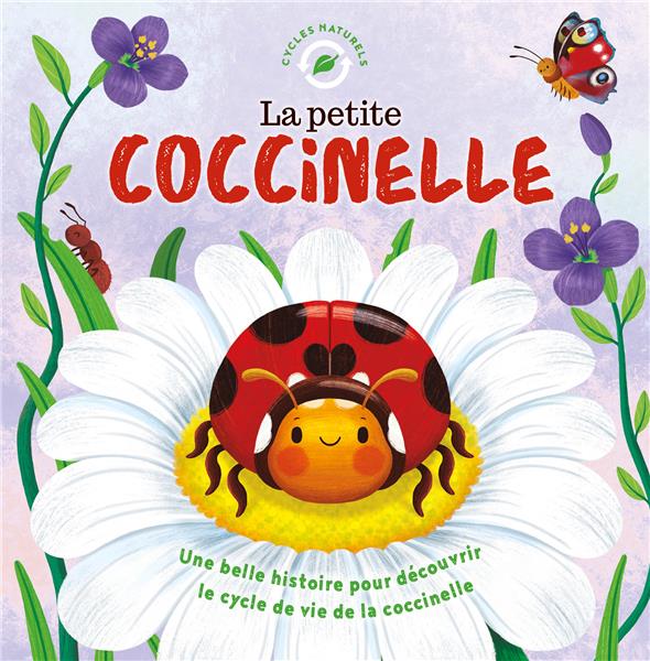 La petite coccinelle - flash vidéo