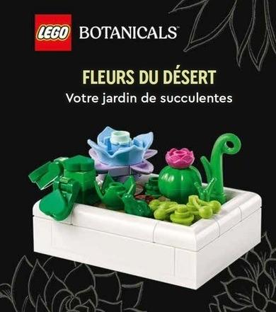 Lego Botanicals : Fleurs du désert : Votre jardin de succulentes
