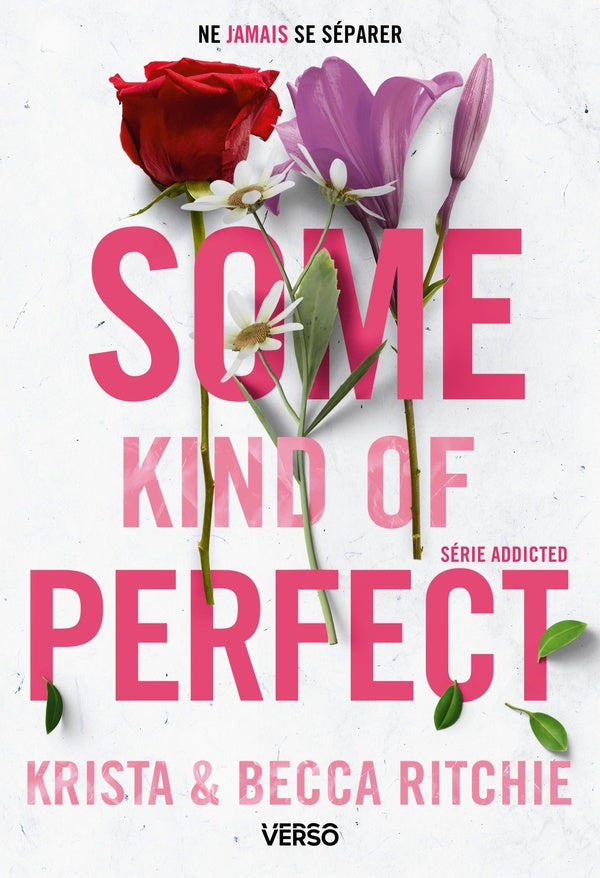 Addicted Tome 10 : Some kind of perfect people