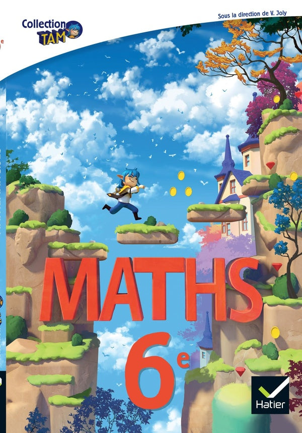 TAM : maths ; 6e ; livre élève
