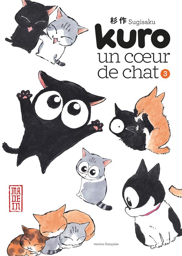 Kuro un coeur de chat Tome 3 - flash vidéo