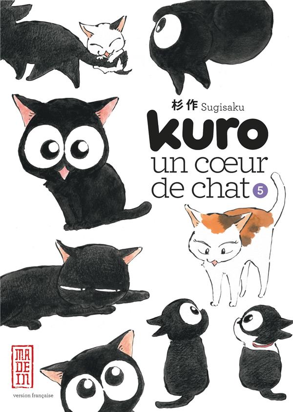 Kuro un coeur de chat Tome 5 - flash vidéo