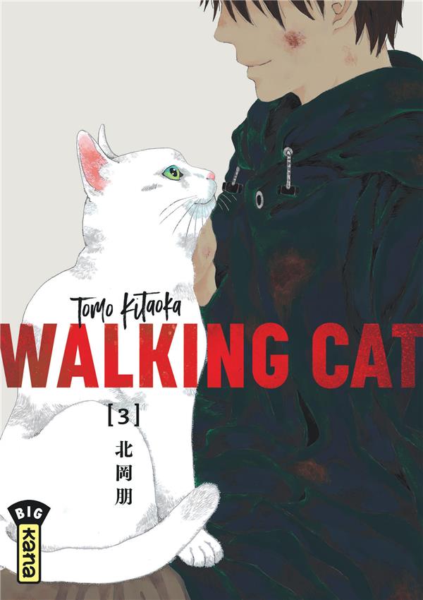 Walking cat Tome 3 - flash vidéo
