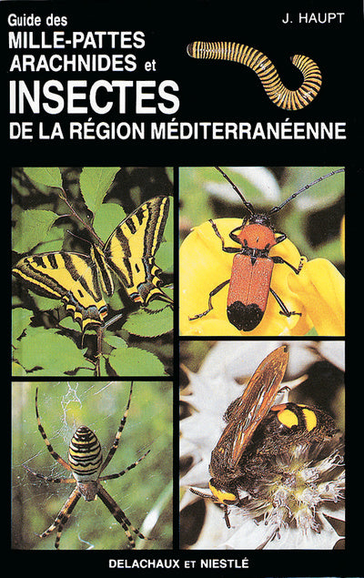 Guide des mille-pattes, arachnides et insectes de la region méditerranéenne