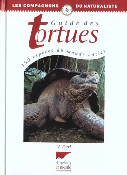 Guide des tortues - flash vidéo