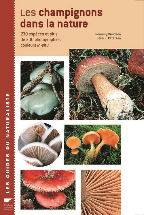Les champignons dans la nature