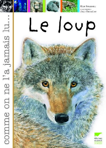Le loup - flash vidéo