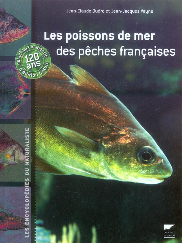 Les poissons de mer des peches francaises (2e édition) - flash vidéo