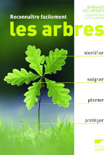 Reconnaître facilement les arbres - flash vidéo