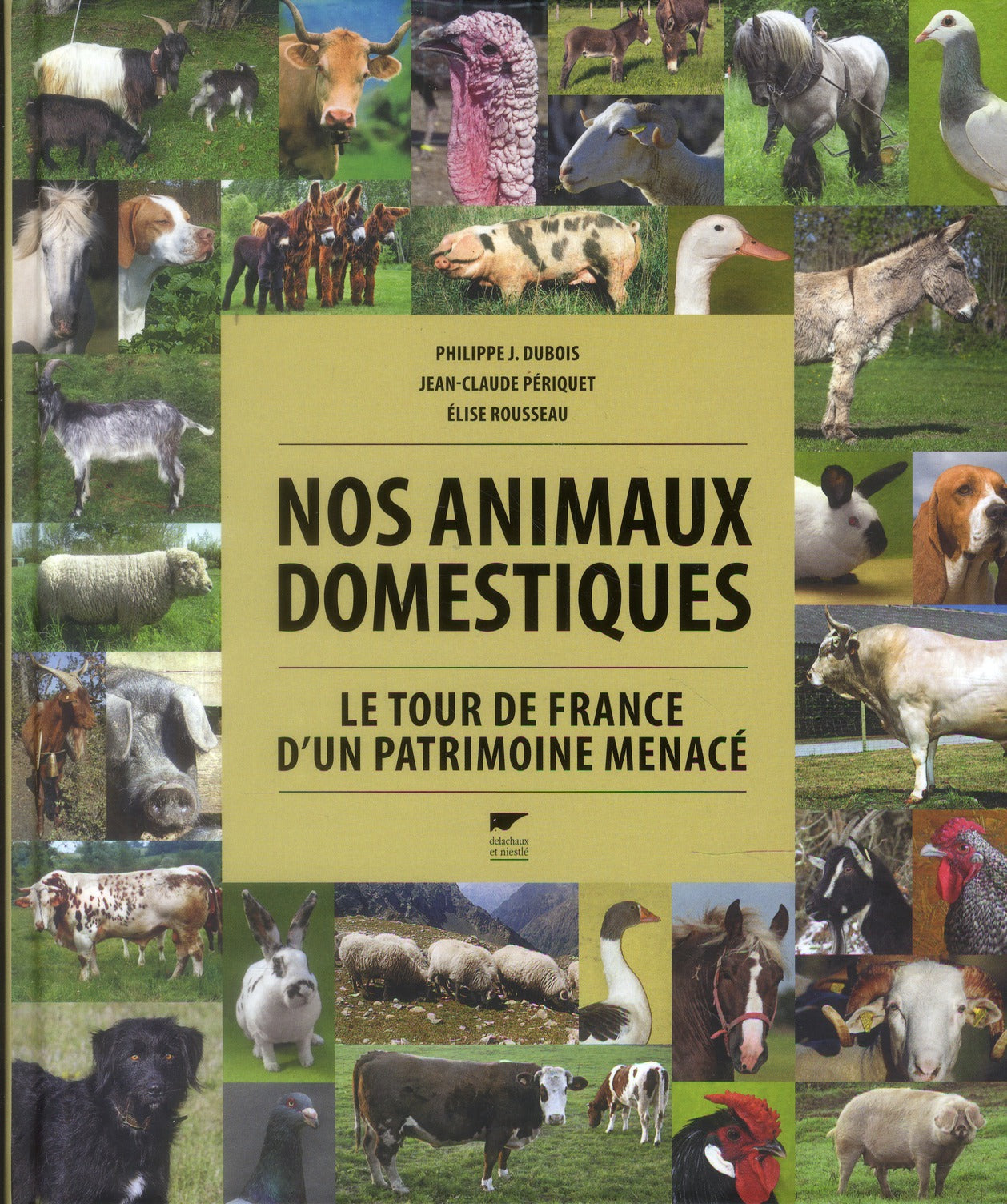 Nos animaux domestiques : le tour de France d'un patrimoine menacé - flash vidéo