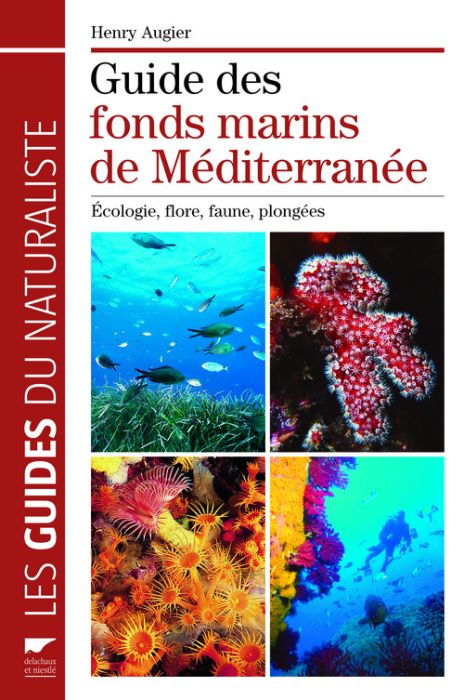 Guide des fonds marins de Méditerranée ; écologie, flore, faune, plongées - flash vidéo